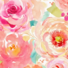 Flores coral