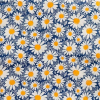 Margaridas